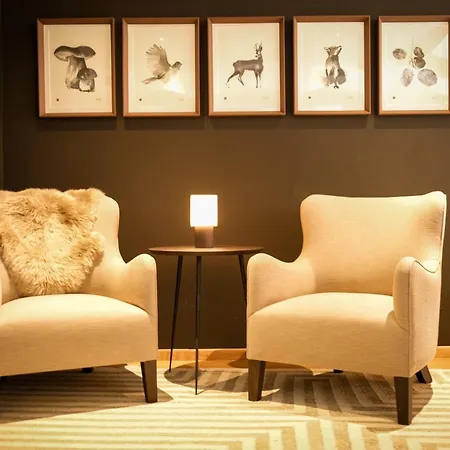 마운틴 파라다이스 호텔 체르마트