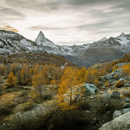 Hotel Mountain Paradise