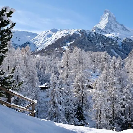 Mountain Paradise 3* Церматт